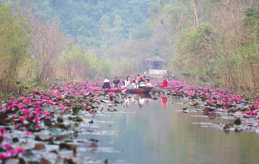 chua-huong-tet-202424 chua-huong-tet-202424